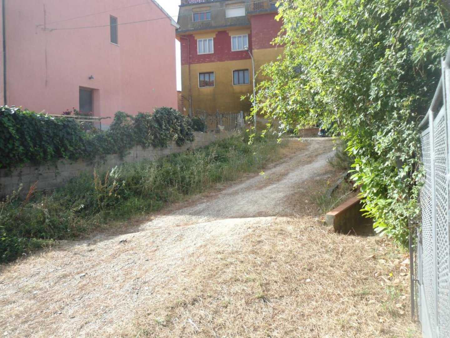 immagine annuncio 12 di 14